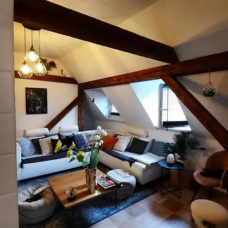 Proche Strasbourg A Apartment Eckwersheim