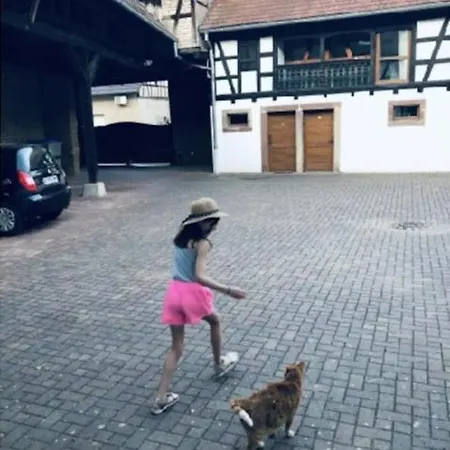 Proche Strasbourg A *